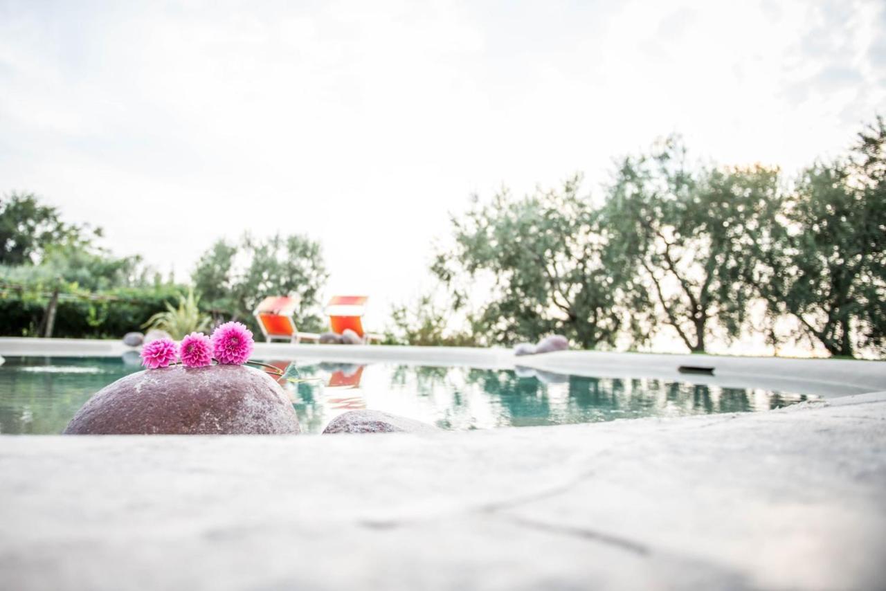 Agriturismo Il Grappolo ลาซีเซ ภายนอก รูปภาพ